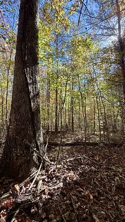6.25 Acres of Land for Sale in Palmer, Tennessee