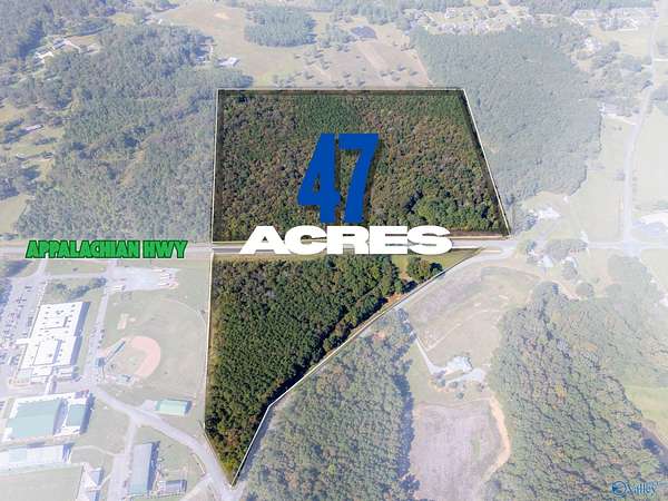 47 Acres of Recreational Land for Sale in Hokes Bluff, Alabama