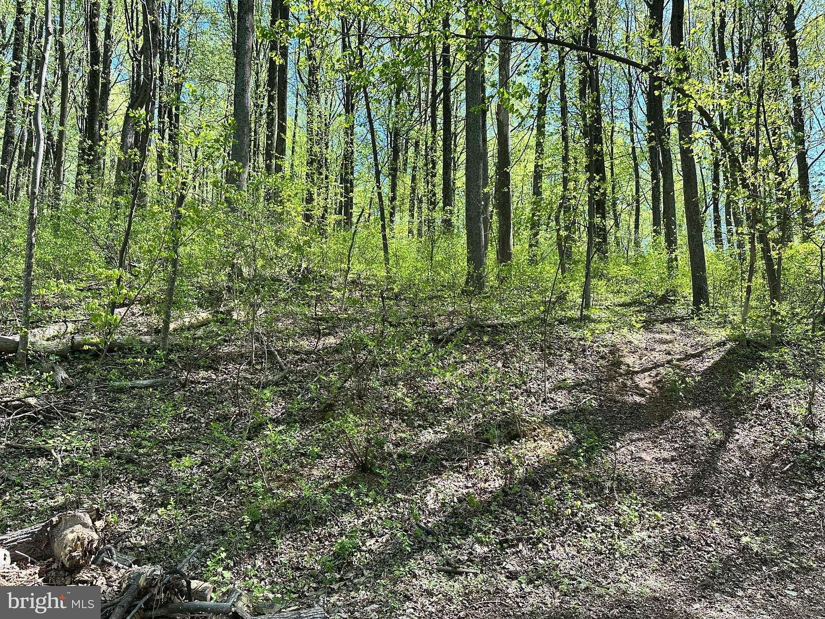 0.47 Acres of Residential Land for Sale in Front Royal, Virginia