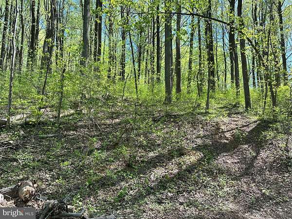 0.47 Acres of Residential Land for Sale in Front Royal, Virginia