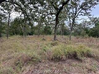 0.53 Acres of Residential Land for Sale in Somerville, Texas
