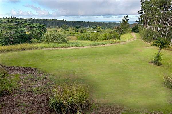 20.5 Acres of Land for Sale in Papaikou, Hawaii