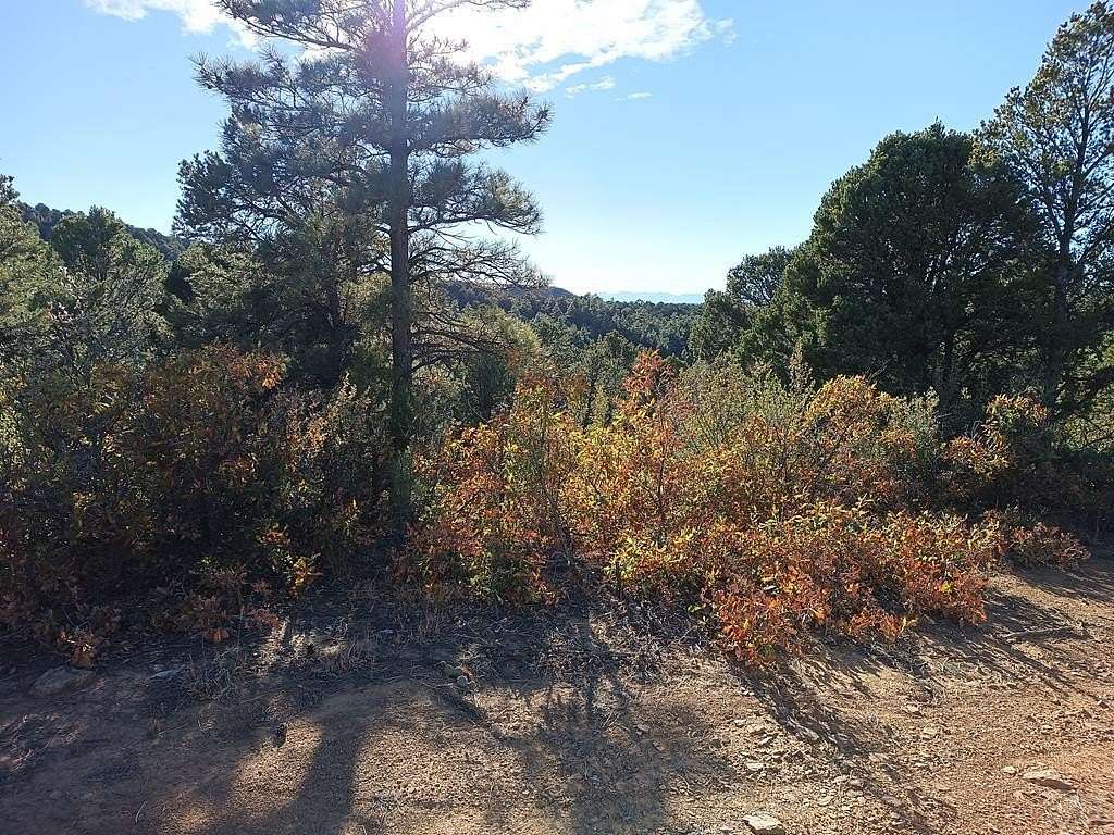 40 Acres of Recreational Land for Sale in Trinidad, Colorado