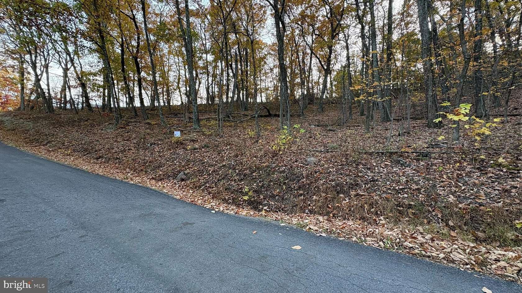0.64 Acres of Land for Sale in Winchester, Virginia