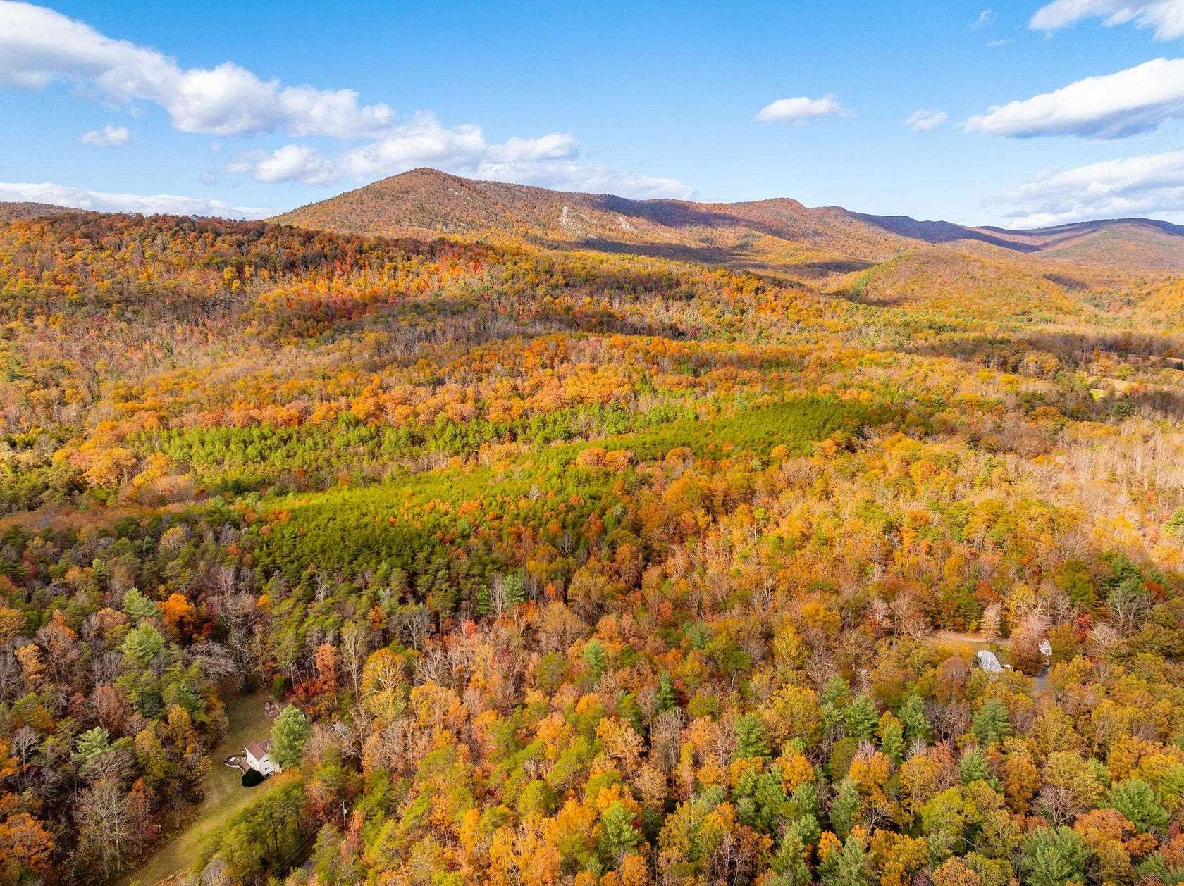 134 Acres of Recreational Land for Sale in Edinburg, Virginia