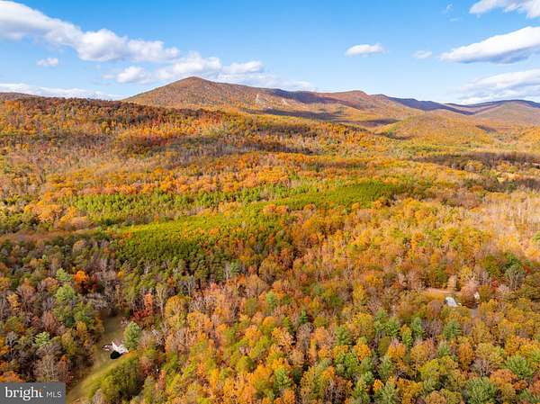 134 Acres of Recreational Land for Sale in Edinburg, Virginia