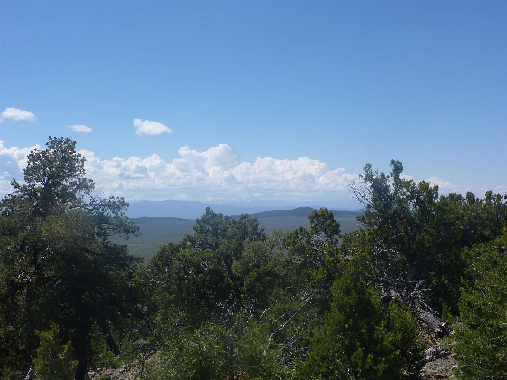 31 Acres of Land for Sale in Taos, New Mexico