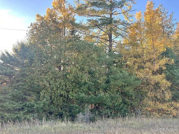 40 Acres of Recreational Land for Sale in Stephenson, Michigan
