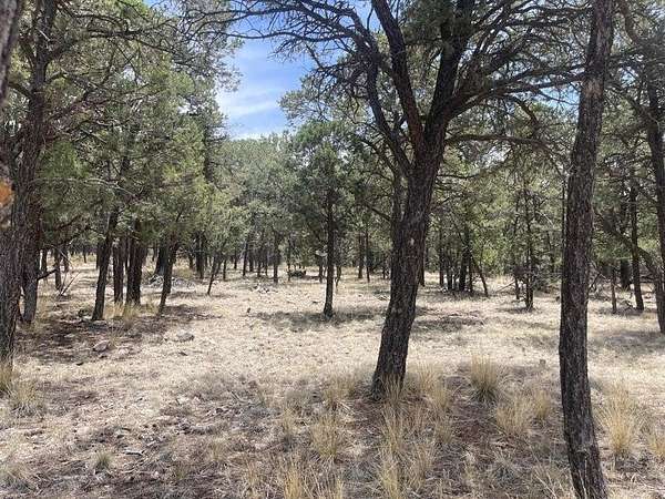 1.58 Acres of Land for Sale in Magdalena, New Mexico