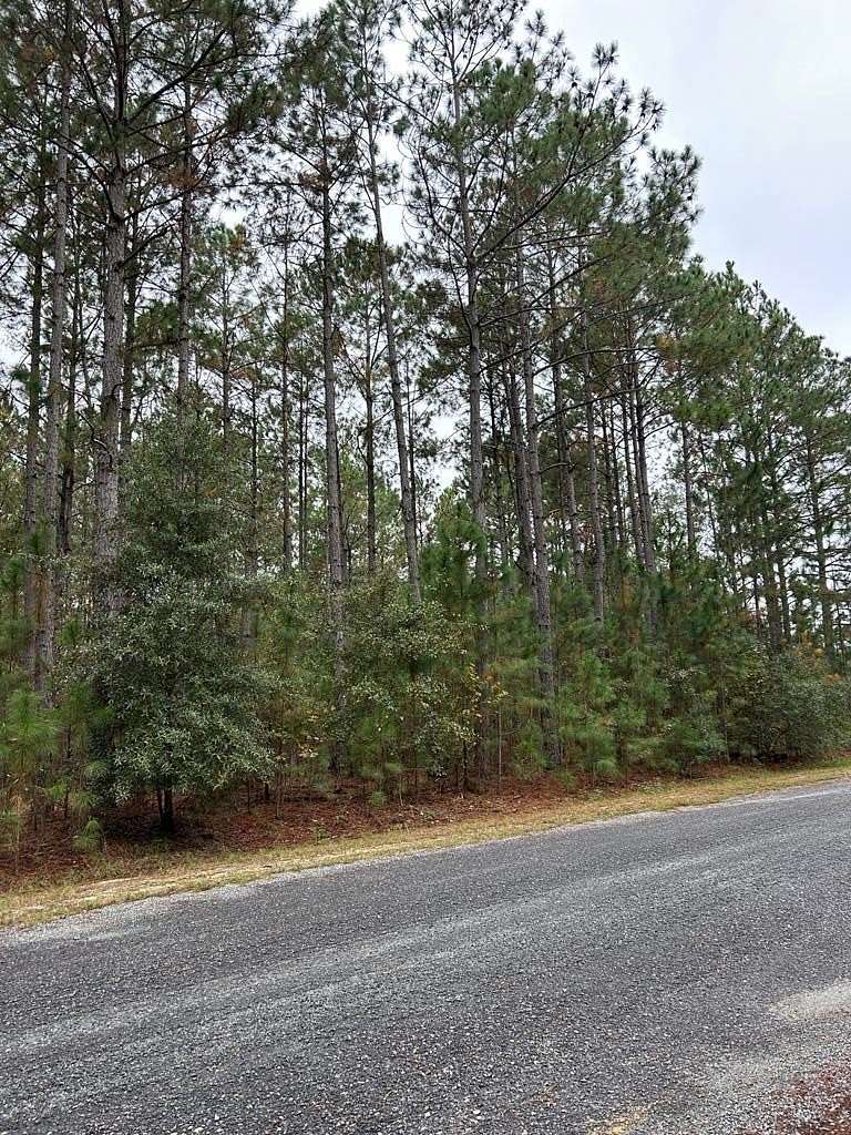 1.56 Acres of Land for Sale in Rochelle, Georgia