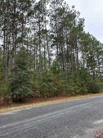 1.56 Acres of Land for Sale in Rochelle, Georgia