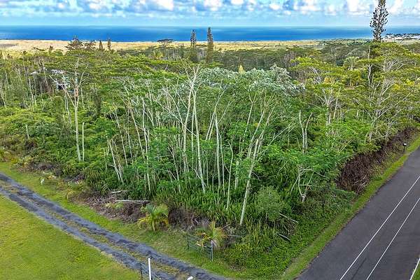 1 Acre of Residential Land for Sale in Pahoa, Hawaii