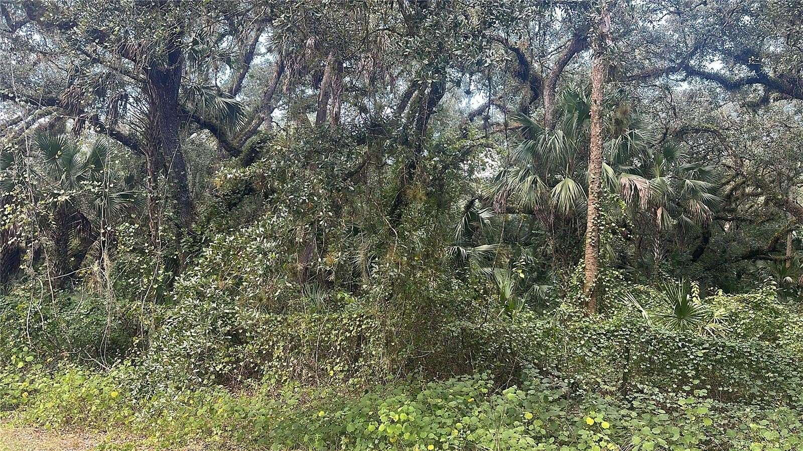 1.25 Acres of Residential Land for Sale in Okeechobee, Florida