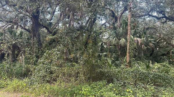 1.25 Acres of Residential Land for Sale in Okeechobee, Florida