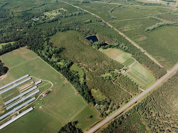 49.6 Acres of Recreational Land for Sale in Surrency, Georgia