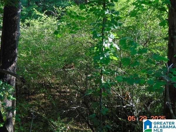 8.9 Acres of Land for Sale in Marion, Alabama
