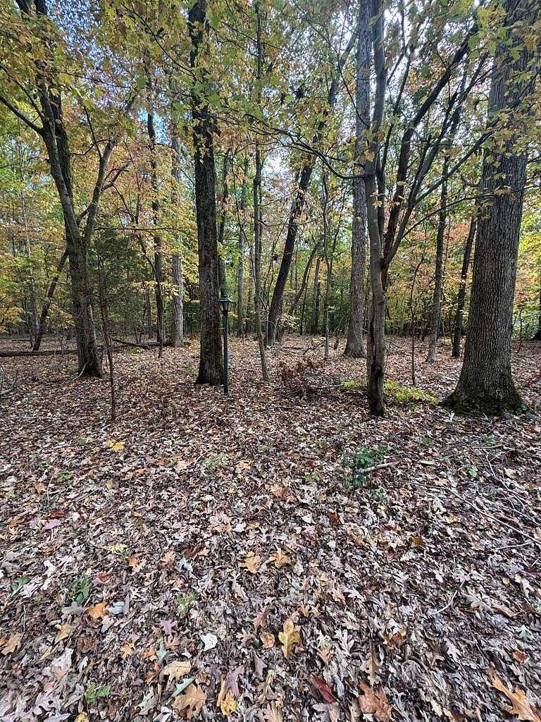 0.62 Acres of Residential Land for Sale in Clarksville, Virginia