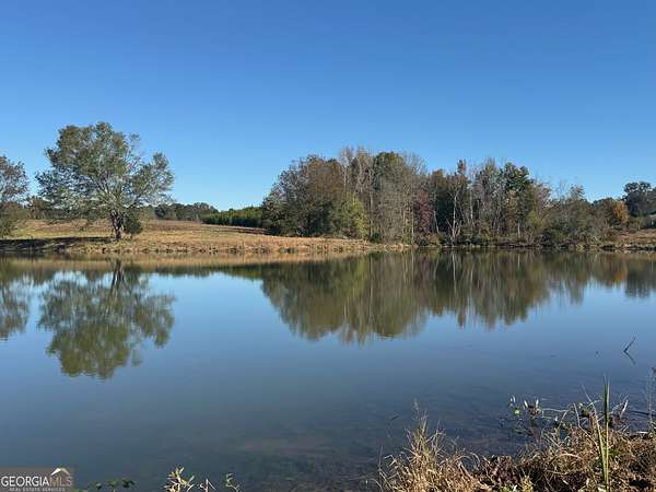 35.1 Acres of Land for Sale in Zebulon, Georgia