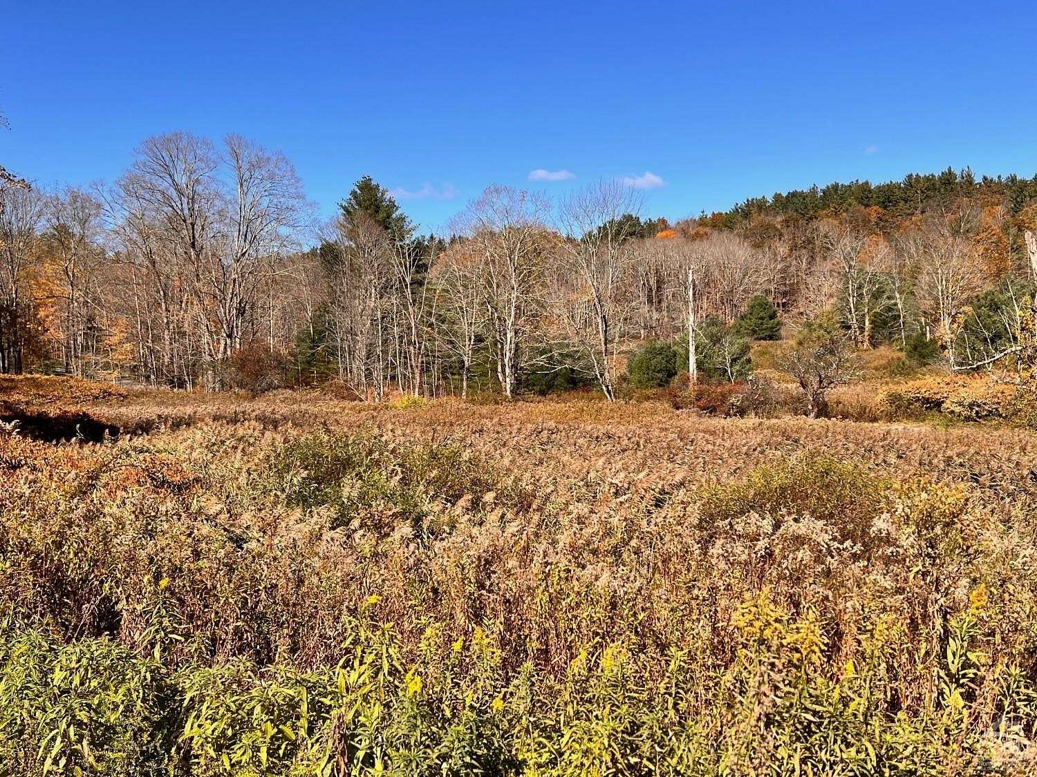 83.2 Acres of Recreational Land for Sale in Hillsdale, New York