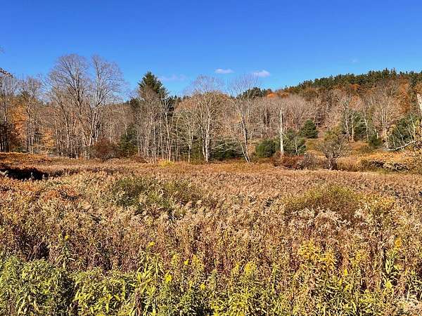 83.2 Acres of Recreational Land for Sale in Hillsdale, New York