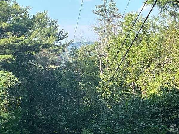 5.52 Acres of Residential Land for Sale in New Lebanon, New York