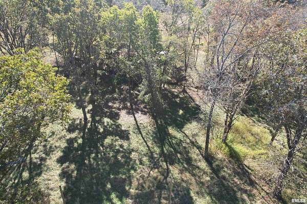 5.9 Acres of Land for Sale in Golconda, Illinois