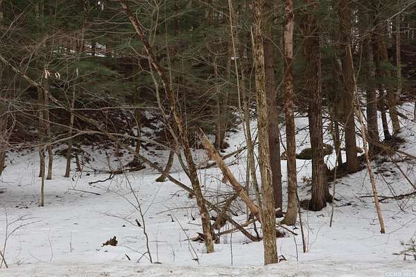 5 Acres of Mixed-Use Land for Sale in Canaan, New York