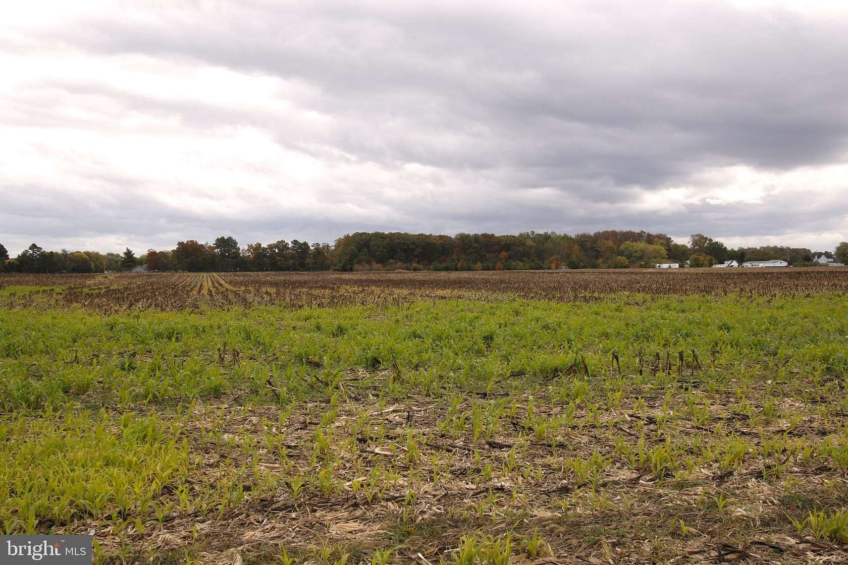 41 Acres of Agricultural Land for Sale in Milford, Delaware