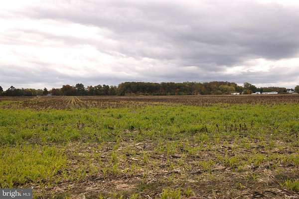 41 Acres of Agricultural Land for Sale in Milford, Delaware