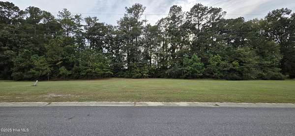0.26 Acres of Residential Land for Sale in Grifton, North Carolina