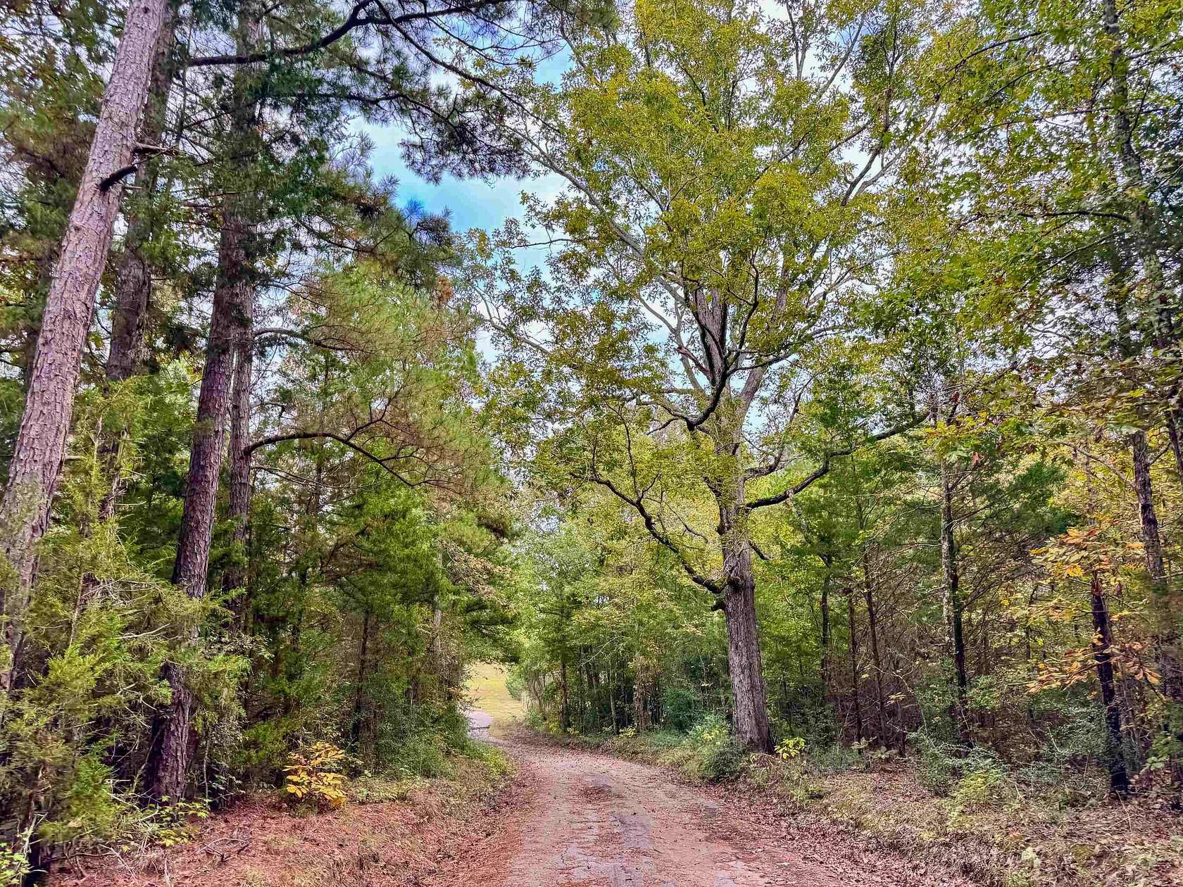 92.4 Acres of Recreational & Residential Land for Sale in Marietta, Texas