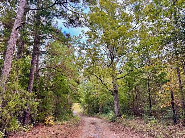 92.4 Acres of Recreational & Residential Land for Sale in Marietta, Texas