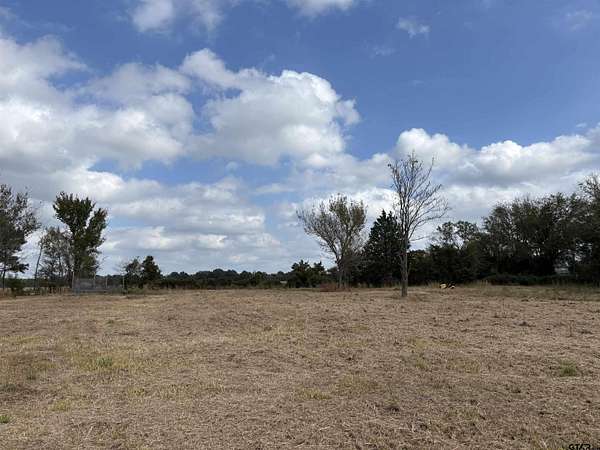 2 Acres of Residential Land for Sale in Ben Wheeler, Texas