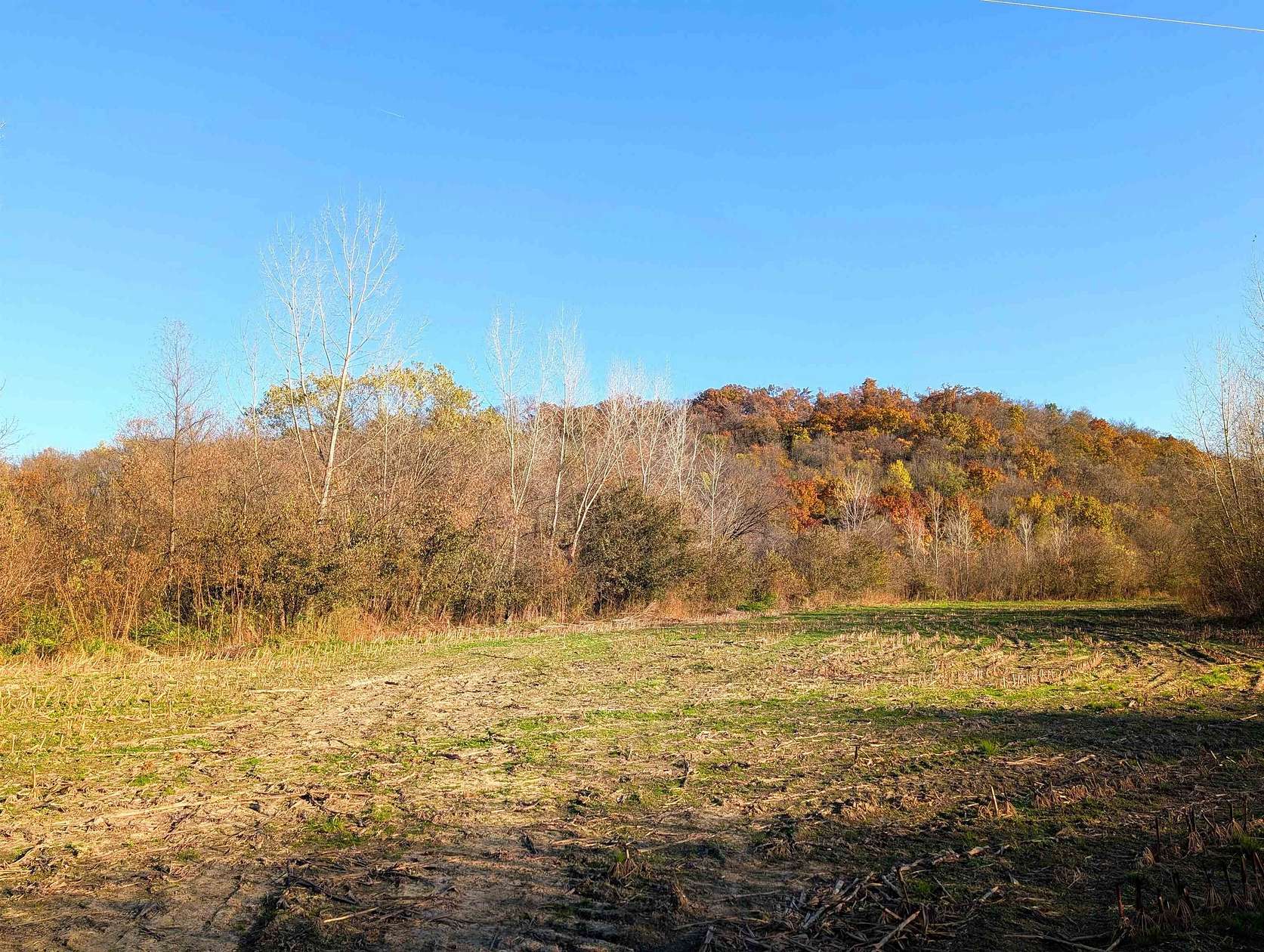 15.6 Acres of Recreational Land & Farm for Sale in Mount Hope, Wisconsin