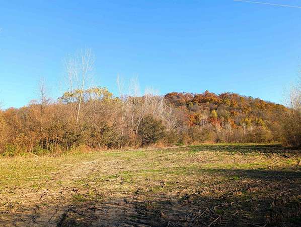 15.6 Acres of Recreational Land & Farm for Sale in Mount Hope, Wisconsin