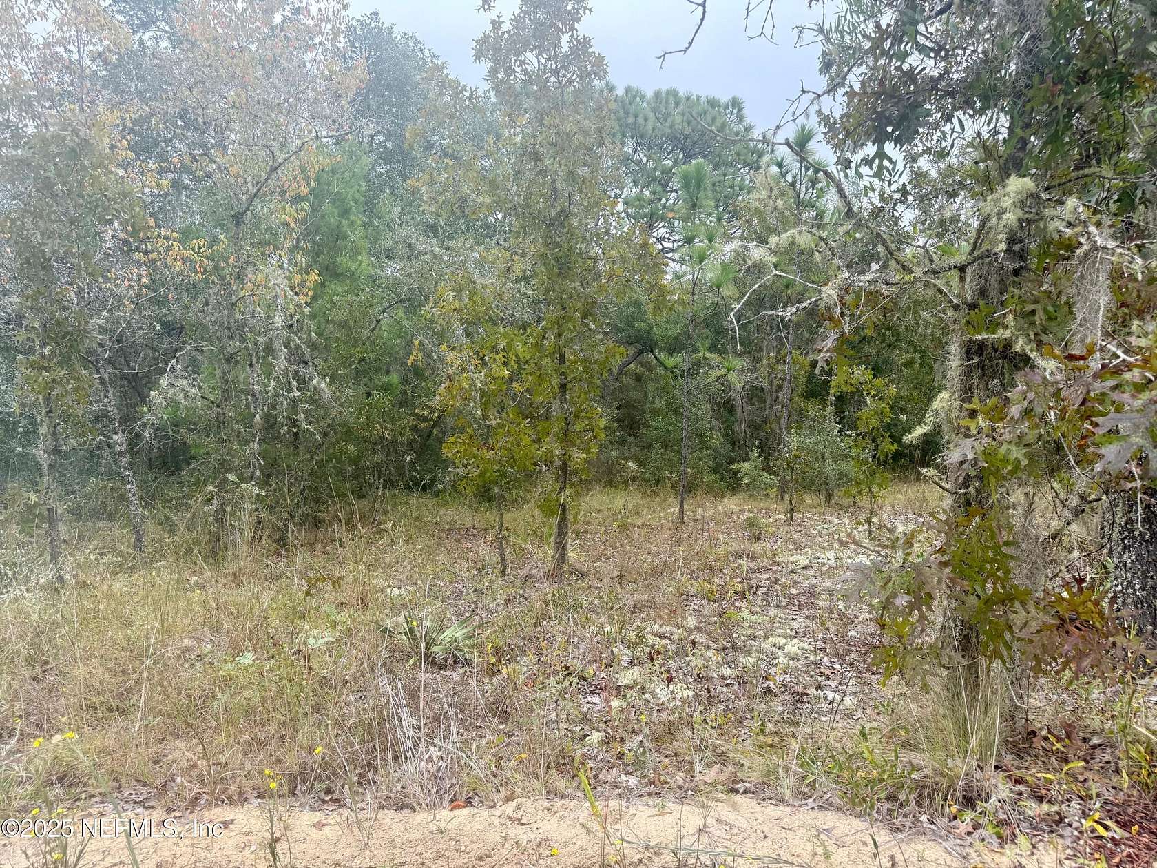 0.53 Acres of Residential Land for Sale in Interlachen, Florida
