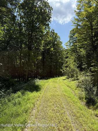 11.3 Acres of Recreational Land for Sale in Elizaville, New York