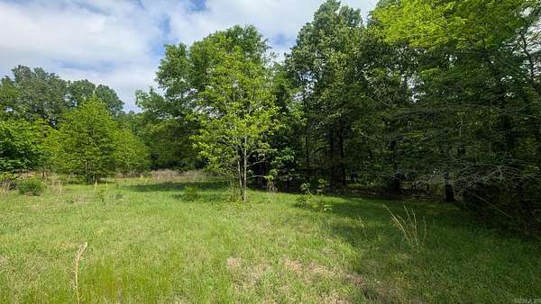 89.3 Acres of Agricultural Land for Sale in Hope, Arkansas