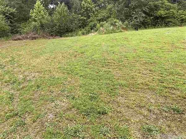 0.3 Acres of Residential Land for Sale in Searcy, Arkansas