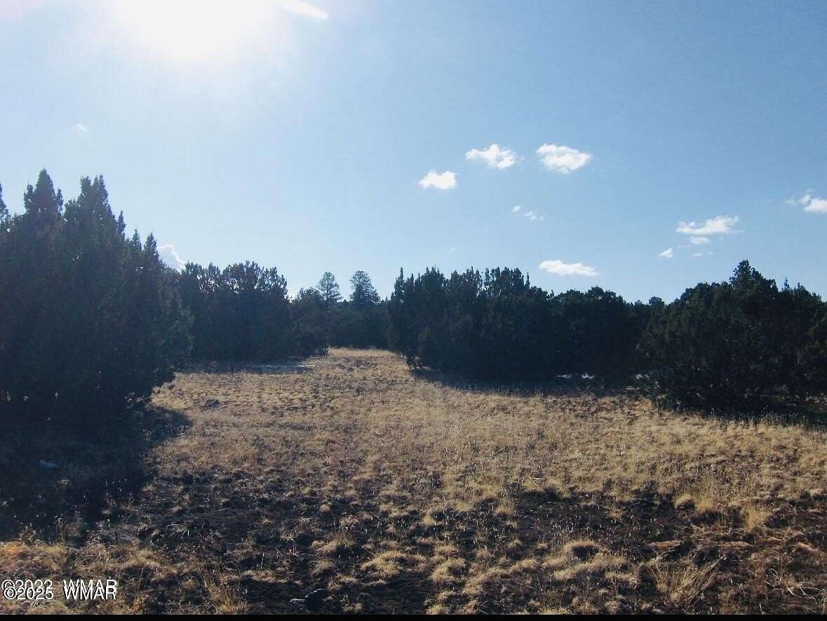 3 Acres of Residential Land for Sale in Vernon, Arizona