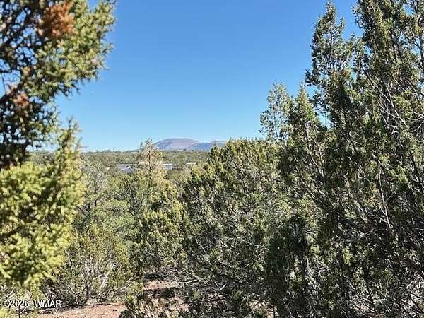 3 Acres of Residential Land for Sale in Vernon, Arizona