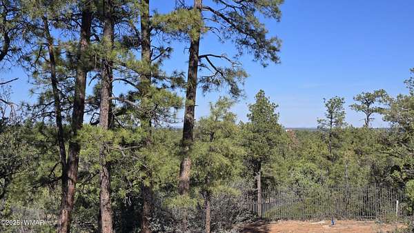 1.19 Acres of Residential Land for Sale in Show Low, Arizona