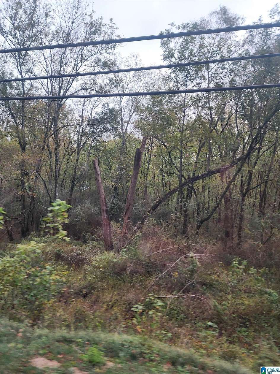 19.3 Acres of Land for Sale in Bessemer, Alabama