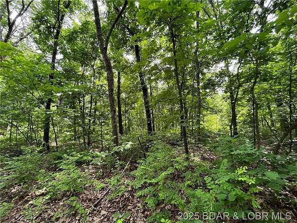 20.8 Acres of Recreational Land for Sale in Stover, Missouri