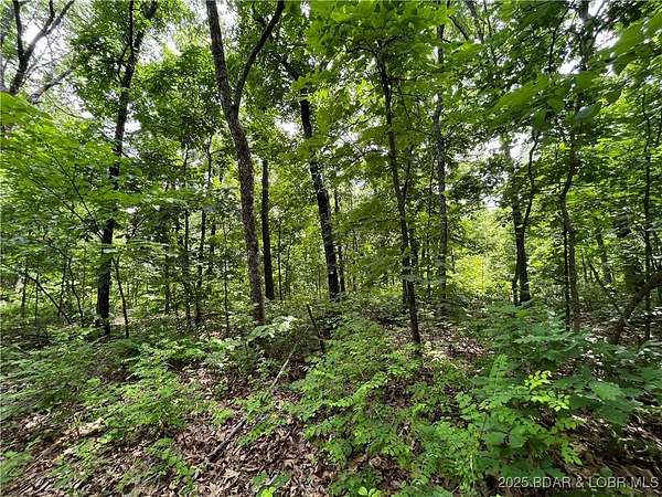 20.8 Acres of Recreational Land for Sale in Stover, Missouri