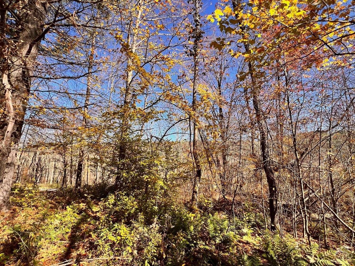 33.3 Acres of Recreational Land for Sale in Hillsdale, New York