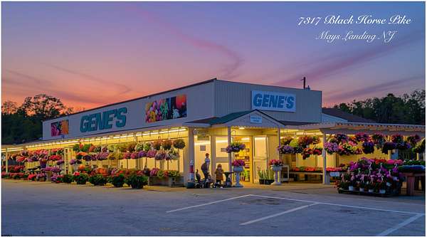 17.5 Acres of Commercial Land for Sale in Mays Landing, New Jersey