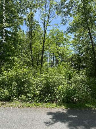 0.24 Acres of Residential Land for Sale in Athens, New York