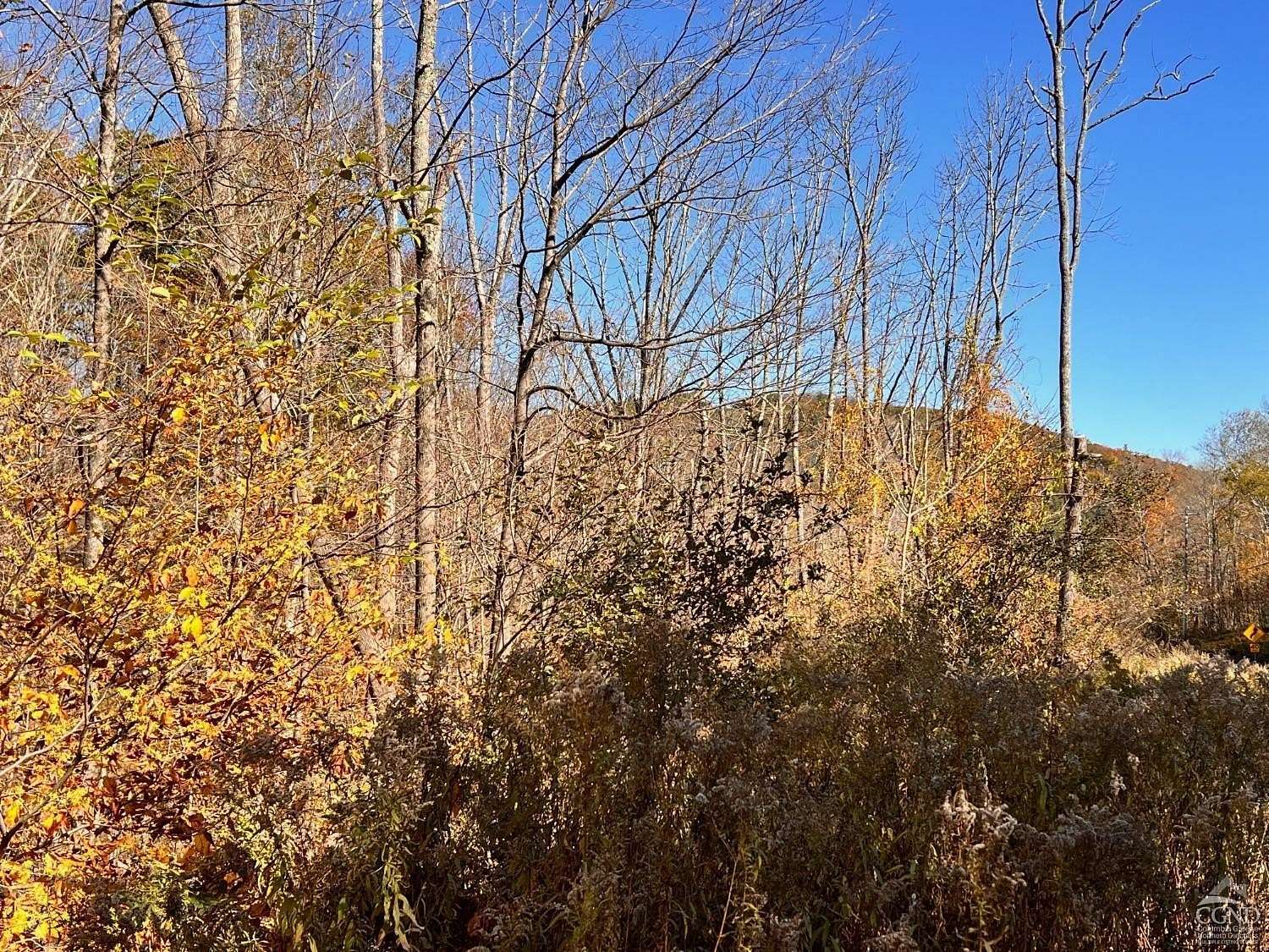 50 Acres of Recreational Land for Sale in Hillsdale, New York