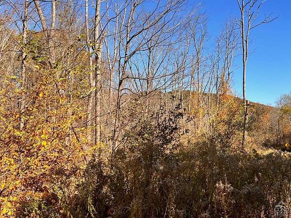 50 Acres of Recreational Land for Sale in Hillsdale, New York